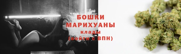 ПСИЛОЦИБИНОВЫЕ ГРИБЫ Сатка