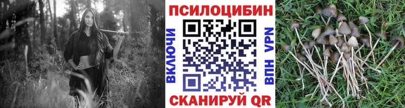 Псилоцибиновые грибы ЛСД  Костомукша 