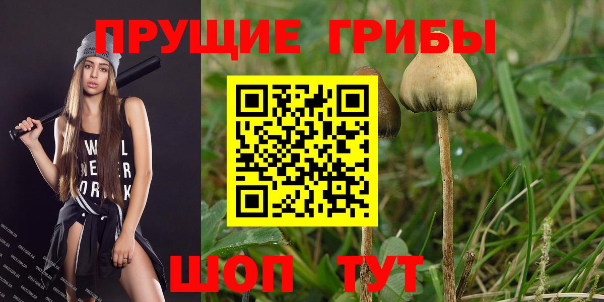 Галлюциногенные грибы GOLDEN TEACHER Костомукша