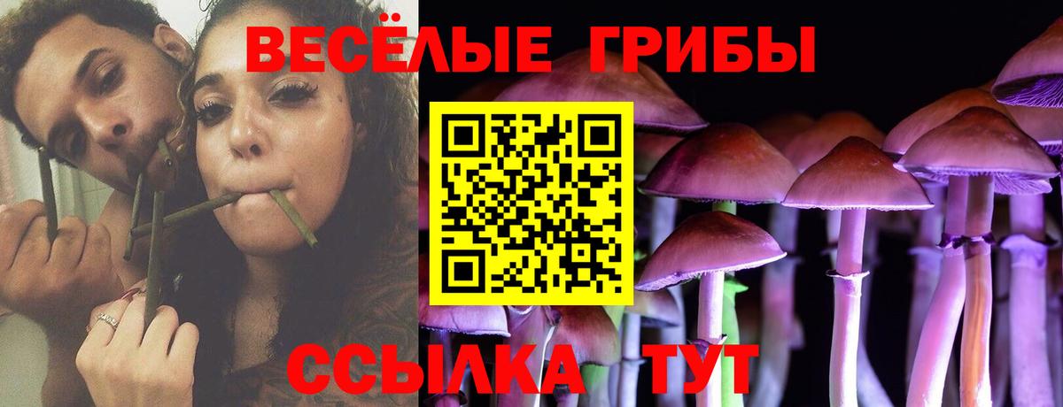Галлюциногенные грибы GOLDEN TEACHER  где можно купить   Костомукша  Псилоцибиновые грибы прущие грибы  Вход с VPN 